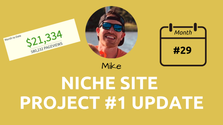 month 29 mike niche site project update