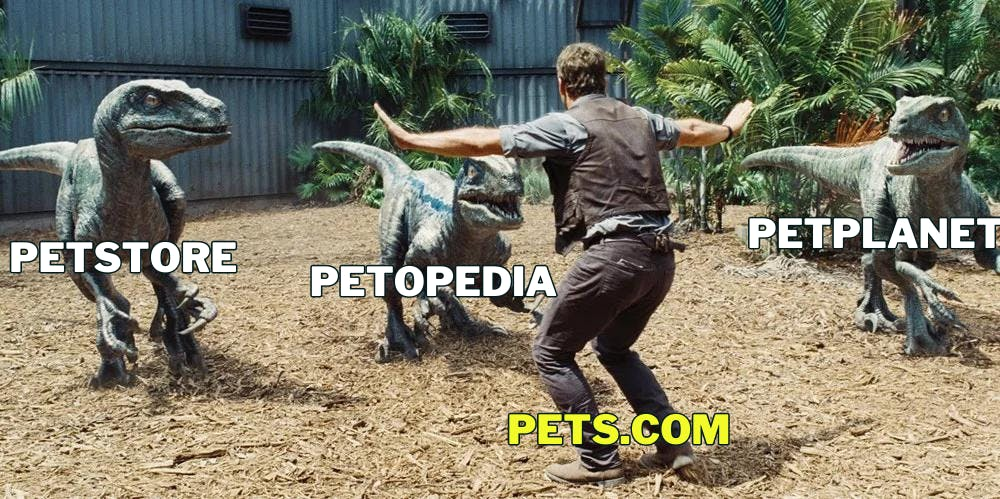 Example Pets.com competition meme. 